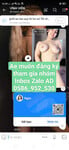 Vừa xem vừa sục