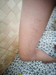 Lệ quyên dâm đãng của anh em đây ai mua clio nt gửu sđt nha