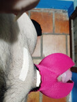 Tỉa lông và cái kết