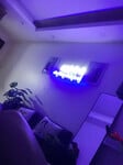 Đan Trang của tụi mày đây