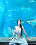 Lượm lặt vài pic ảnh trên mạng