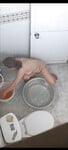 Dì ruột ơn 40 mu long ti cứng nhìn nứng