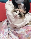 1376 ảnh trong 1 album: Cô gái loli dễ thương 4