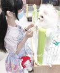 1376 ảnh trong 1 album: Cô gái loli dễ thương 4