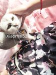 1376 ảnh trong 1 album: Cô gái loli dễ thương 4