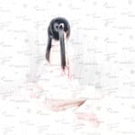 1376 ảnh trong 1 album: Cô gái loli dễ thương 4