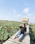 SUSU XINH