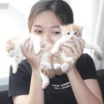 SUSU XINH
