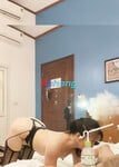 Toàn Video Chất Lượng Cao