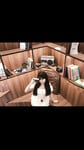 album ảnh nhỏ em gái ***