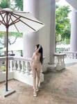 AI lột đồ