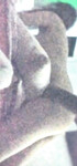+1 ảnh