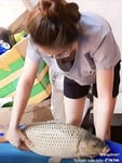 có link lột đồ chị của con bạn ae tt, vô link nhiều t l