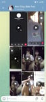 Album em thùy ở Bến Tre