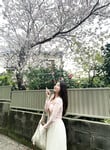 Thanh Ly - Gu của 1 số người