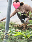 Chụp lén rồi dùng AI cở đồ chị hàn xóm mu to