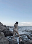 nude shizuka