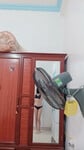 Cháu gái tôi p2
