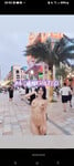 Show cho anh em em bé mới kiếm đc trên fb????